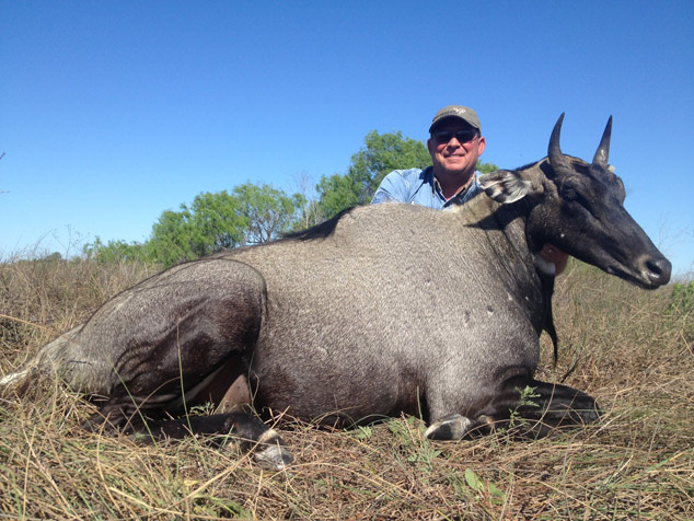 exotic-game-hunting-in-texas-with-desert-safaris